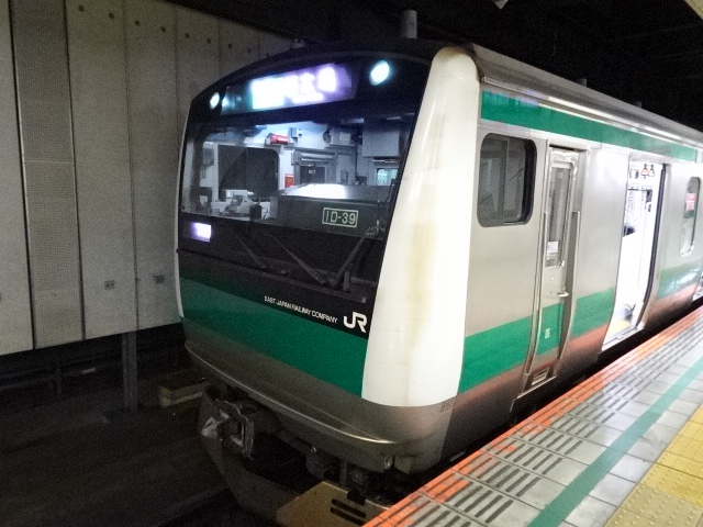 E233系7000番台大宮にて出発を待つ